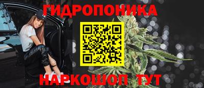 эйфоретик Можга