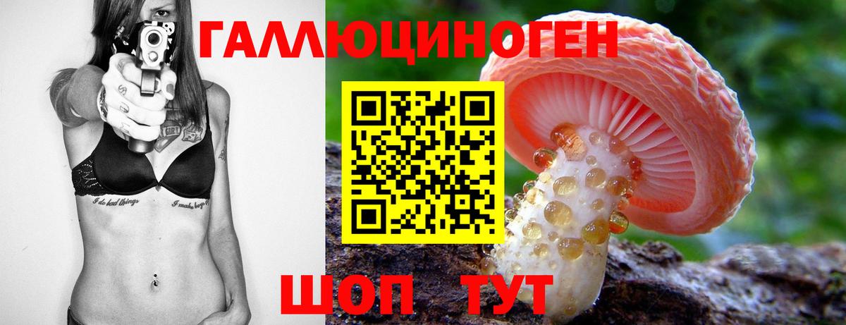 Сарапул  Псилоцибиновые грибы Psilocybine cubensis  Вход с VPN 
